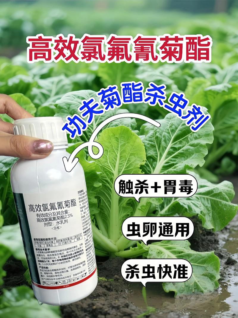 伊春代生中心:农药对供卵代生妈妈的危害